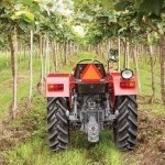 महिन्द्रा 245 डीई आरचर्ड Picture -5