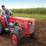 Mahindra 245 DI Orchard Picture -6