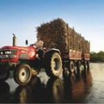 महिन्द्रा 605 एमएटी Picture -2