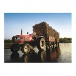 महिन्द्रा 605 एमएटी Picture -0