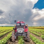 Mahindra Jivo Picture -7