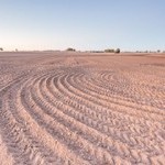 Sonalika DI 47 Rx South Special Picture -7