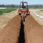 Sonalika DI 60 Loader Special Picture -2