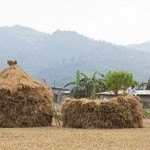 सोनालिका डबिलयूटी-90 Picture -0