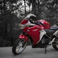 Honda Motorcycle CBR 250R STD