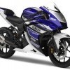 yamaha-r25 1