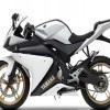 yamaha-yzf-r250 3784
